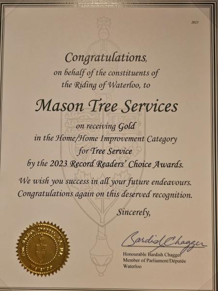 Mason Tree Services