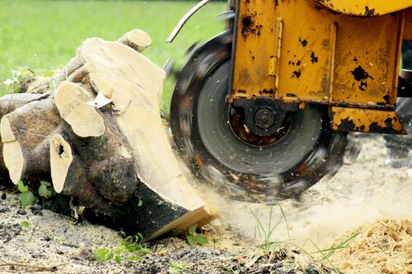 Tree Stump Services