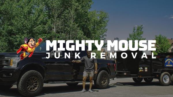 Mighty Mouse Junk Removal