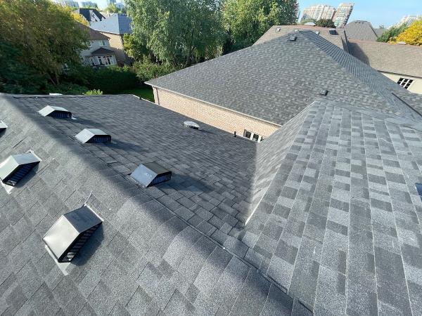 Sina's Roofing & Repair