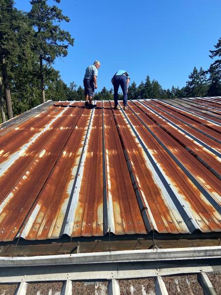 Lifecycle Roofing