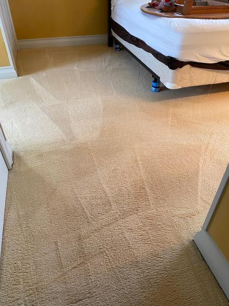 Garec's Carpet Cleaning Systems