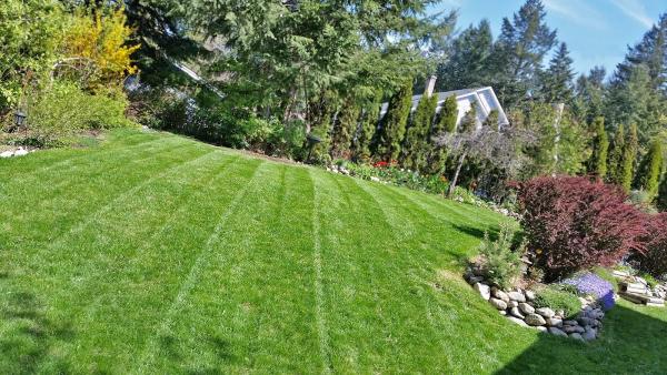 Mobilawn Landscape & Lawn Care