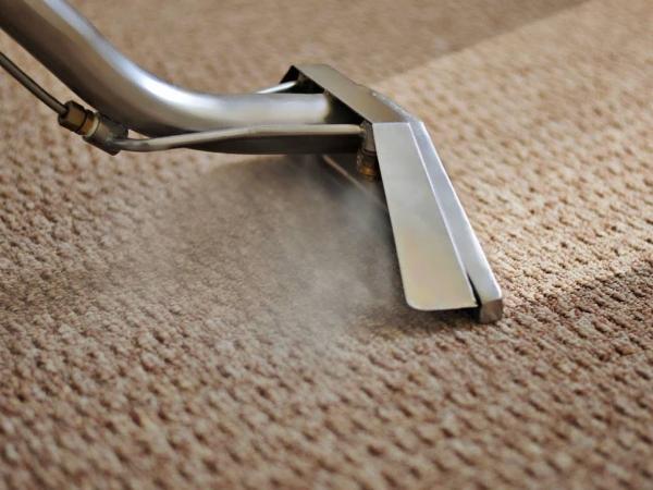 Raman Carpet Cleaning