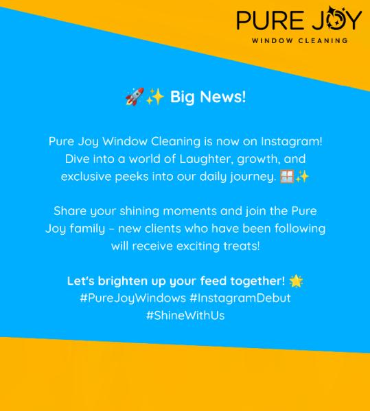 Pure Joy Window Cleaning