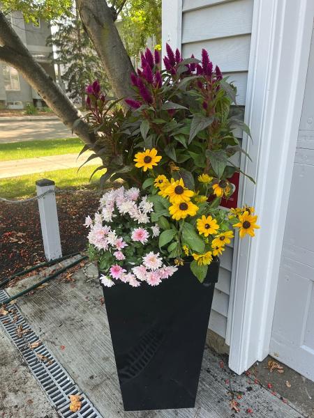 The Wheelbarrow Gardener