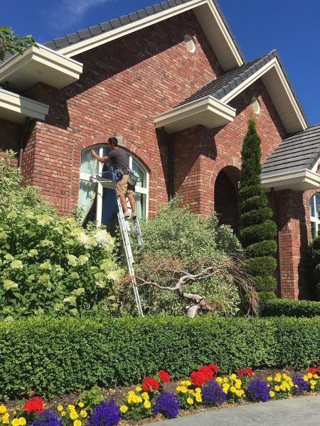 Next Level Window Cleaning