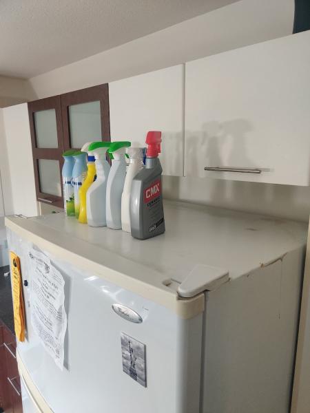 Sassy Sisters Clean Team