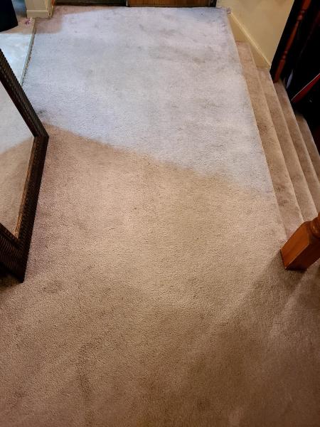 Aberdeen Carpet Cleaning Services Hamilton