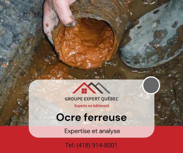 Groupe Expert Québec Inc (Division