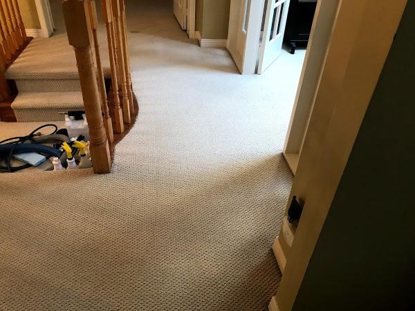 A Magic Clean Rug & Furniture Cleaning