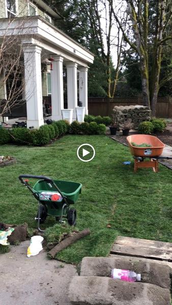 Benjamin Landscaping and Projects