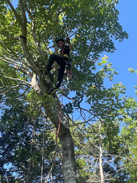Baker Tree Services