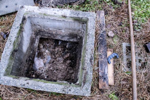 Sims Dave Contracting