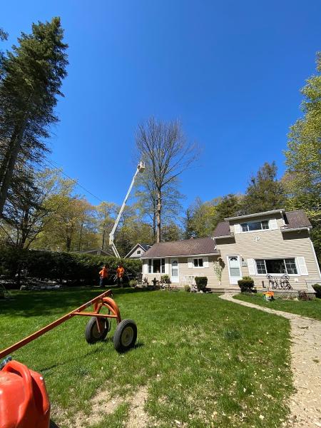 Fawcett Tree Removal Ltd