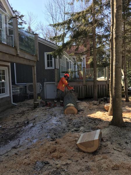 Fawcett Tree Removal Ltd