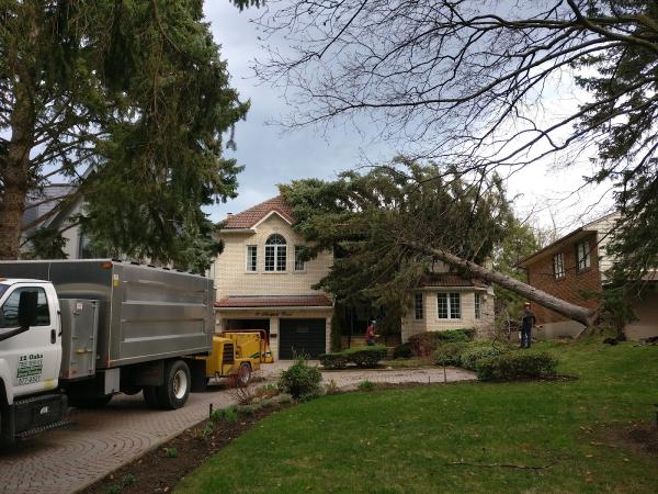 Twelve Oaks Tree Service Inc.