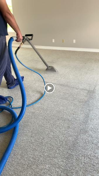 Power Carpet Cleaning
