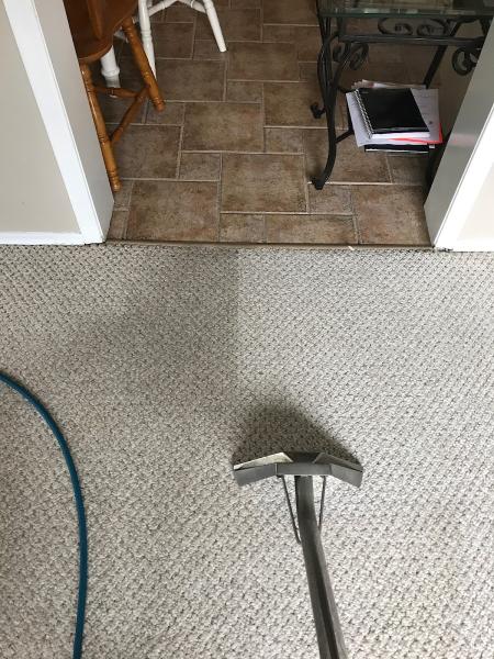 Power Carpet Cleaning