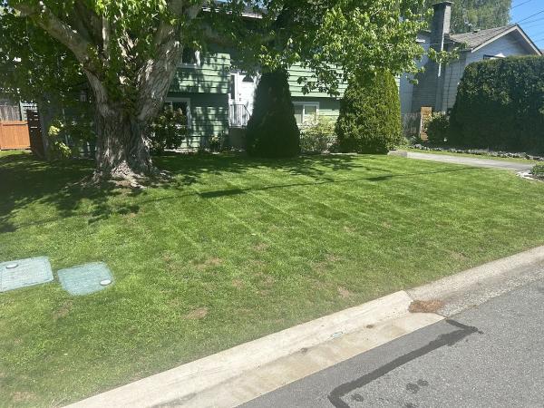 Lawncutting Plus