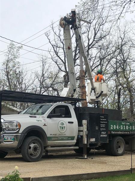 TNT Tree Service Ltd.