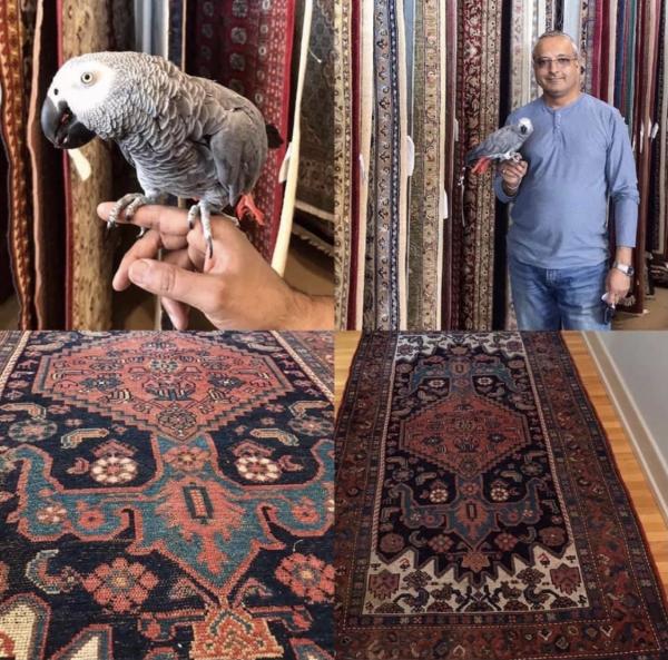 Carpets and Home