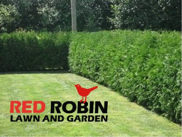 Red Robin Lawn and Garden