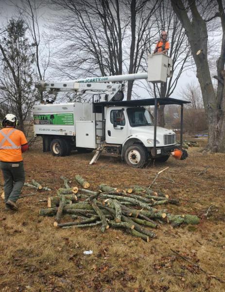 J Carty's Tree Service Ltd