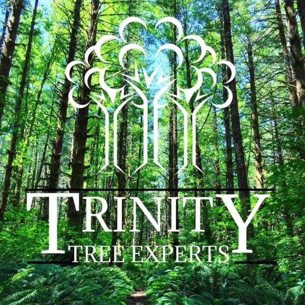Trinity Tree Experts