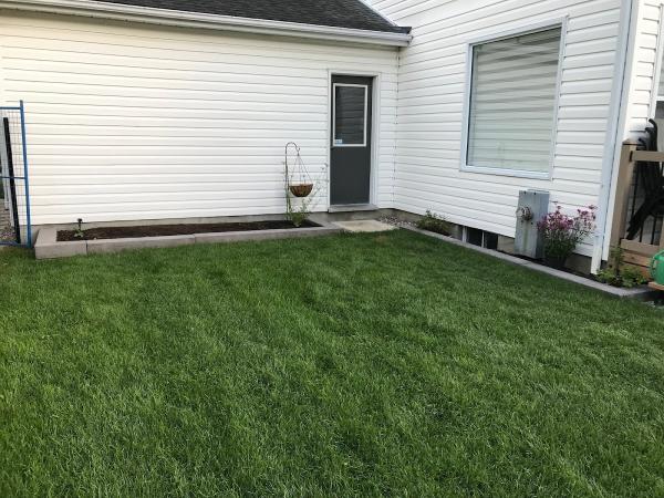 Clean Cut Lawn & Lot Maintenance