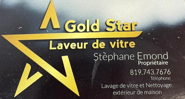 Laveur De Vitre Goldstar