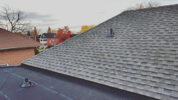 Gryphon Extreme Roofing