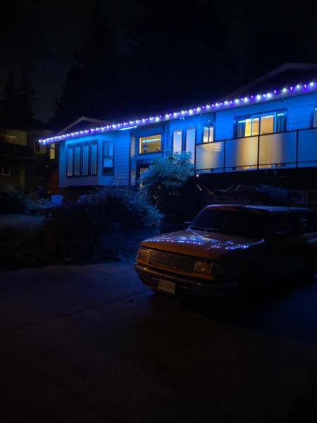 De Moss Boss Maintenance