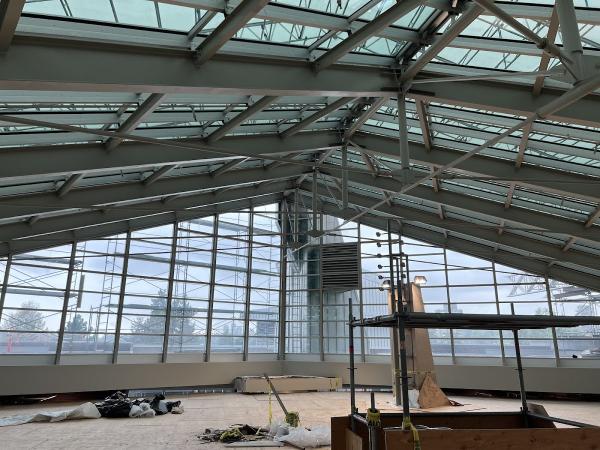 Nature's Window Cleaning and Property Services