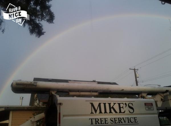 Mike's Tree Service