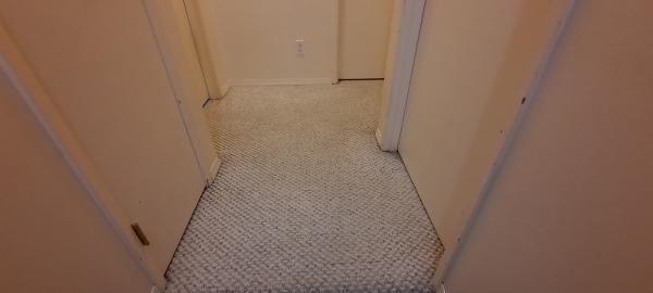 Cleandry Professional Carpet & Upholstery Care