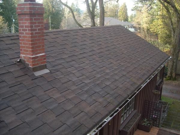 Demoss Doctor Expert at Roof Cleaning Restoration and Treatments