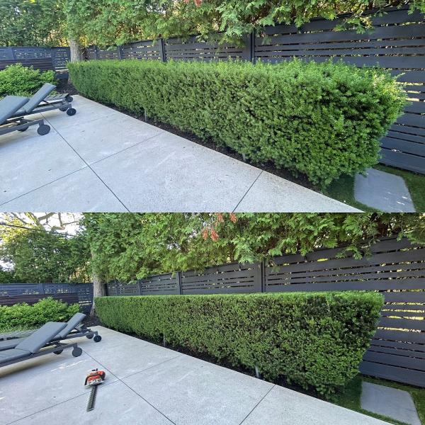 PLC Landscaping • Premium Lawn & Garden Services