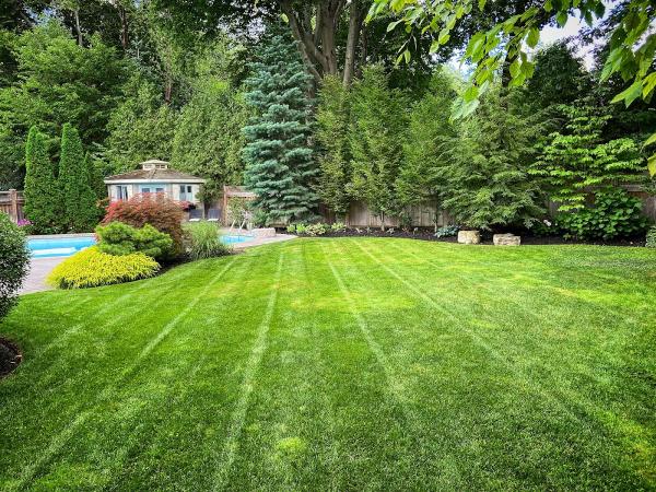 PLC Landscaping • Premium Lawn & Garden Services