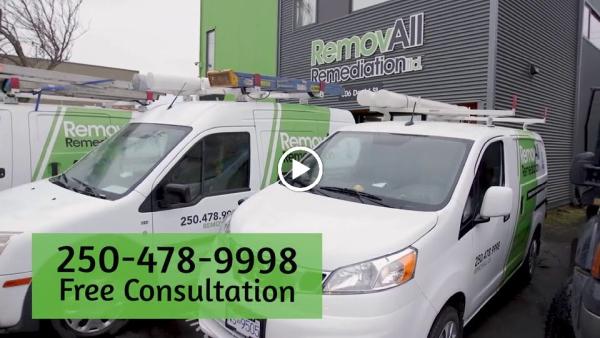 Removall Remediation Services