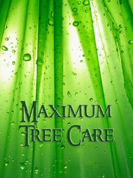 Maximum Tree Care Ltd.