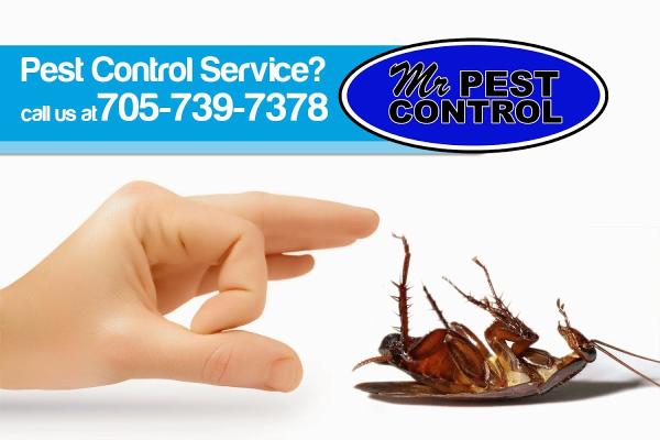 Mr Pest Control