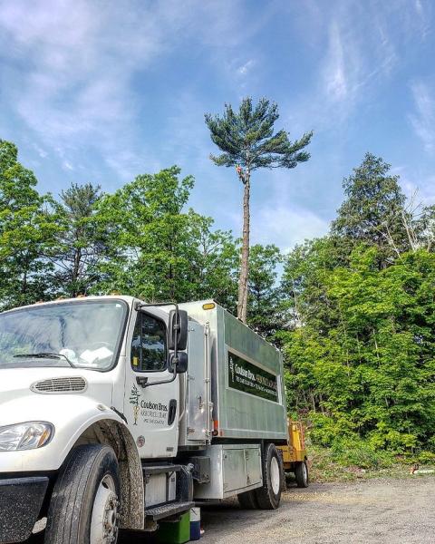 Coulson Bros. Arboriculture