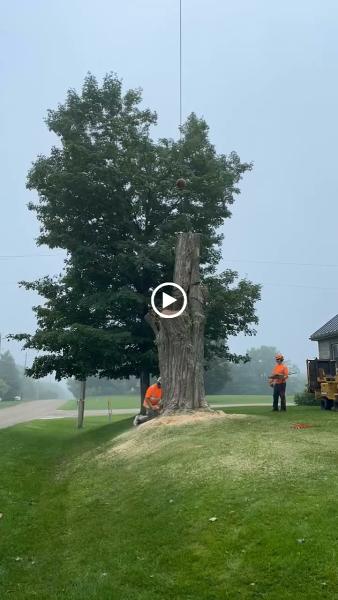 Grand River Tree Service