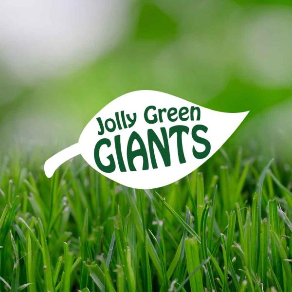 Jolly Green Giants Landscaping & Home Care