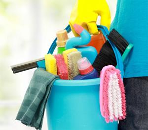 Bzybz Cleaning Services