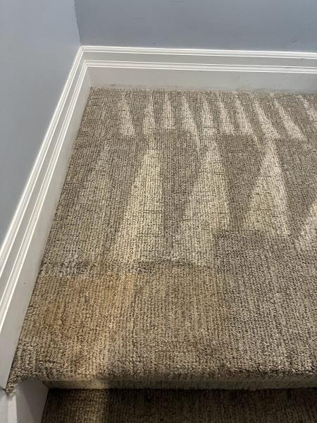 Orbit Carpet Cleaning