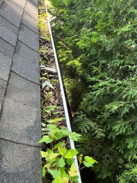 Montreal Pro Wash LLC