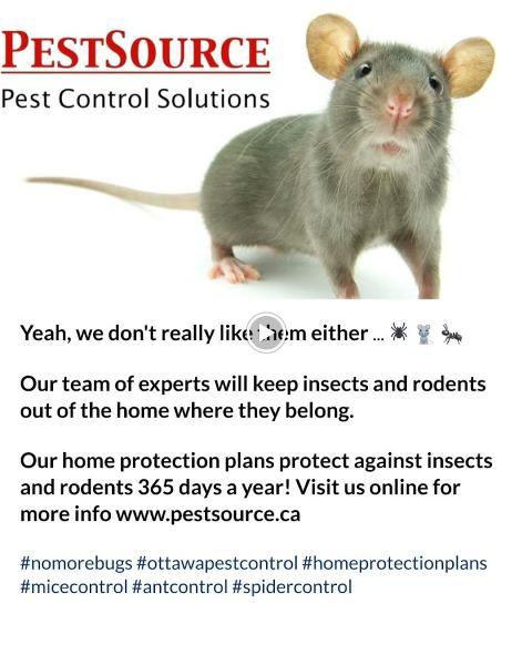 Pestsource Pest Control
