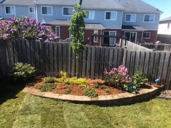 Mr.trim Pruning and Landscaping Services